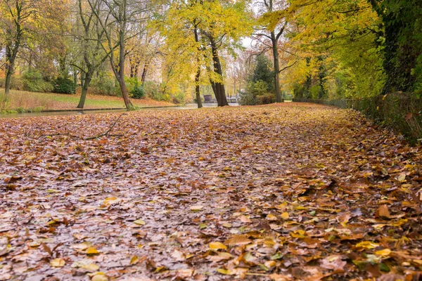 Golden autumn in Minnewater park in Bruges, Belgium — Stock Photo, Image