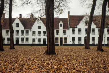 On Wijngaerde (Bruges Beguinage), Belçika
