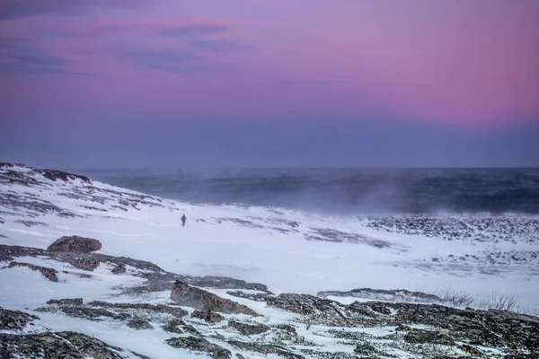 남자에 눈 덮인 해안의 Barents 바다 Teriberka, 무르만스크 지역, 러시아 — 스톡 사진