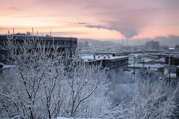 Calle de invierno en Murmansk, Rusia —  Fotos de Stock