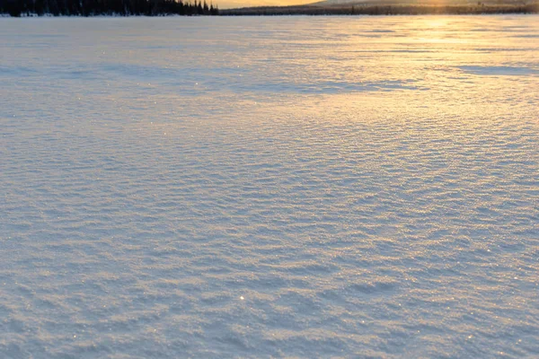 Sníh textury v ruské Laponsko, Kolského poloostrova — Stock fotografie
