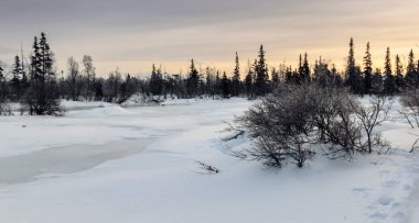 Kış manzara Rus Lapland, Kola Yarımadası