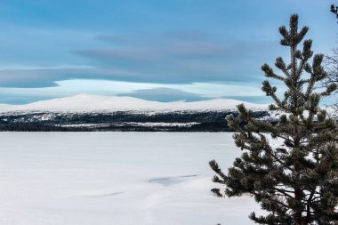 Kış manzara Rus Lapland, Kola Yarımadası