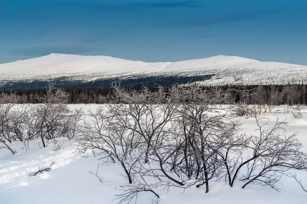 Kış manzara Rus Lapland, Kola Yarımadası