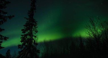 Aurora borealis Rus Lapland, Kola Yarımadası