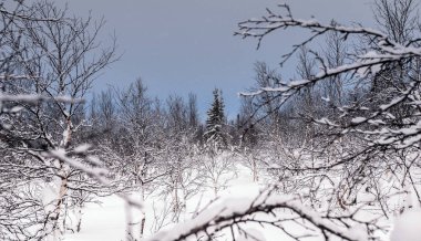 Kış manzara Rus Lapland, Kola Yarımadası