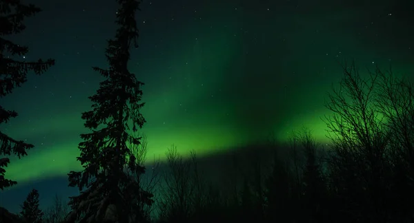 Aurora borealis in Russian Lapland, Kola Peninsula — Stock Photo, Image