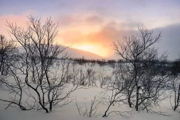 러시아 라플란드, 콜라 반도에 겨울 풍경 — 스톡 사진