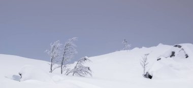 Kış manzara Rus Lapland, Kola Yarımadası