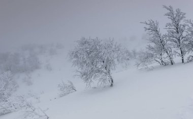 Kış manzara Rus Lapland, Kola Yarımadası