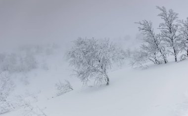 Kış manzara Rus Lapland, Kola Yarımadası