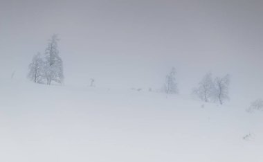 Kış manzara Rus Lapland, Kola Yarımadası