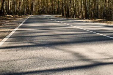 Bahar orman yolu ile gölgelerde Moscow Region, Rusya Federasyonu