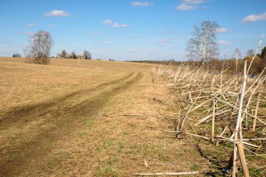 Bahar yol alanında Moscow Region, Rusya Federasyonu
