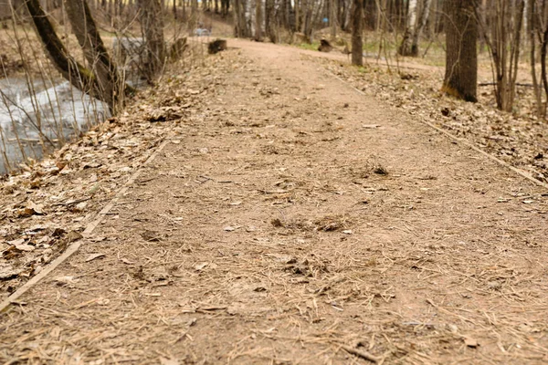 Percorso nel parco Bitsa a Mosca, Russia — Foto Stock