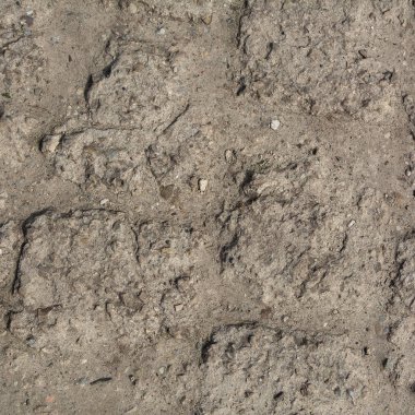 Yere sorunsuz dokulu parlak güneş ışığı altında yüzey arka plan / portre doku