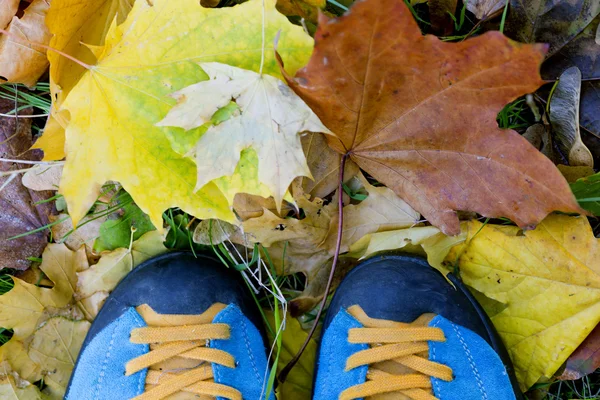 Sonbahar orman yürüyüş tema mavi ayakkabılar yapraklarda — Stok fotoğraf