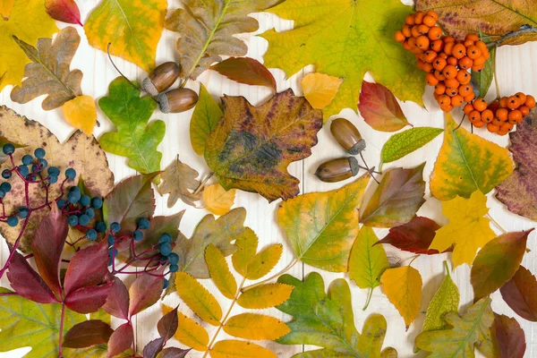 Saisonales Laub mit herbstlichem Zeug auf Holz lizenzfreie Stockfotos