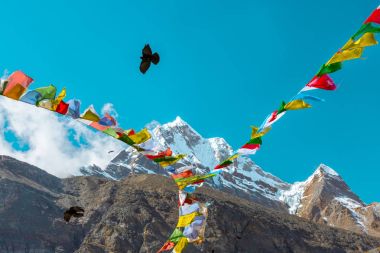 Nepal dua bayrakları dağlarda