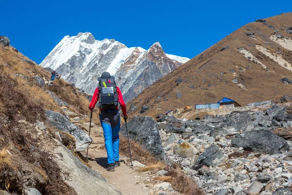 Mountain Hiker walking with Backpack — Stock Photo, Image