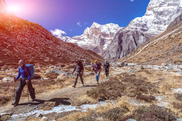 Équipe sportive d'alpinistes — Photo