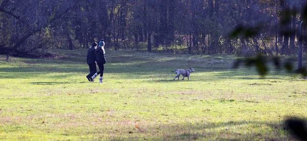 Pessoas andando com cão — Fotografia de Stock