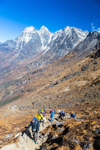 Grupp av idrottare som gick upp på berget — Stockfoto
