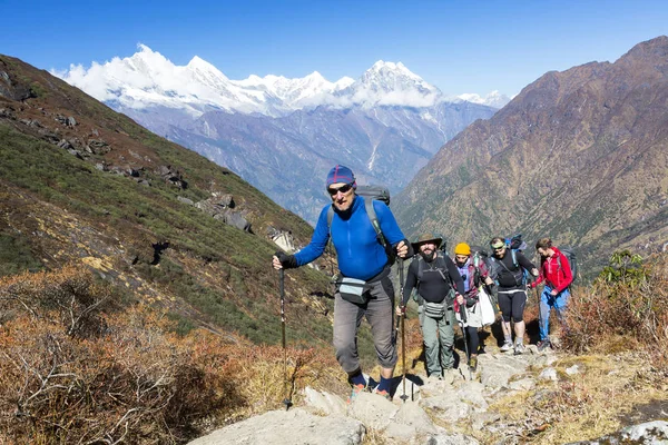 Группа альпинистов, идущих по тропе — стоковое фото