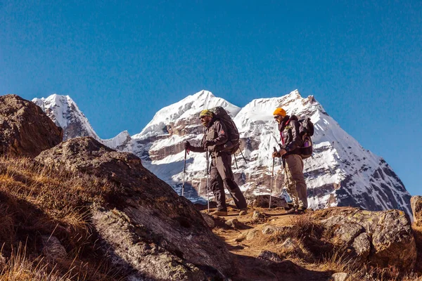 Groupe de randonneurs avec sacs à dos — Photo