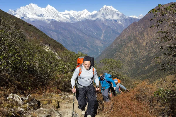 Gruppe von Bergsteigern auf Wanderschaft — Stockfoto