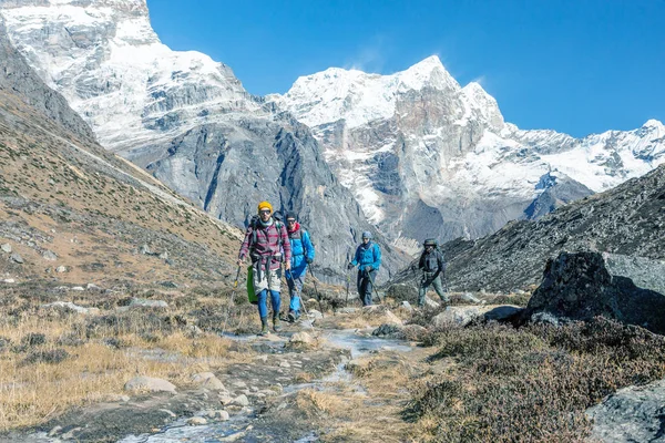 组的徒步旅行者沿着小溪散步 — 图库照片