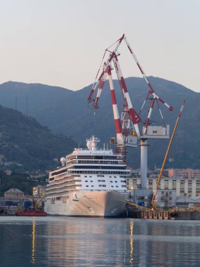 Bir tersane ile büyük Vinçler demirleyen gemi cruise