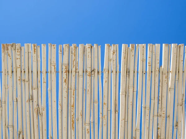 Caña de bambú mate (protección solar) .blue cielo en el fondo — Foto de Stock