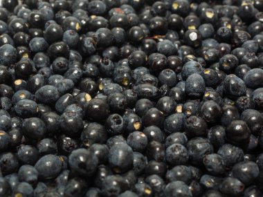 Ortak myrtle mirto likörü yapmaya hazır Çilek kokulu