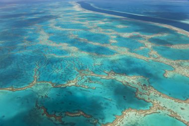 Great Barrier Reef, Queensland, Avustralya