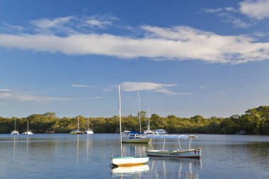 Noosa River, Noosa Heads, Queensland, Australia clipart