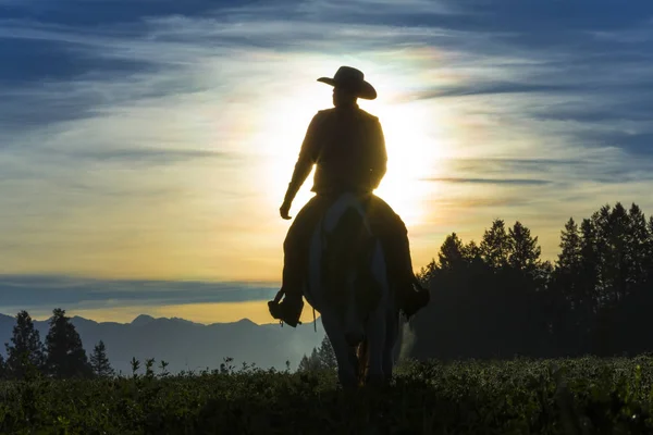 Cowboy chevauchant tôt le matin à travers les prairies avec des montagnes derrière — Photo