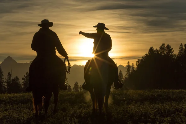 Cowboys lovaglás keresztül legelő a kora reggeli órákban, Brit Kolumbia, — Stock Fotó