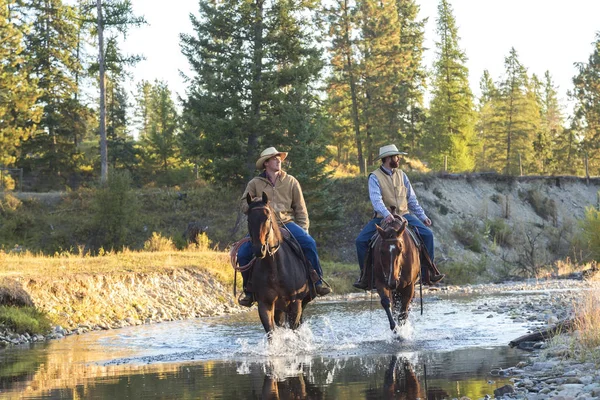 Cowboys & paarden lopen door river, Brits Colombia, Canada — Stockfoto