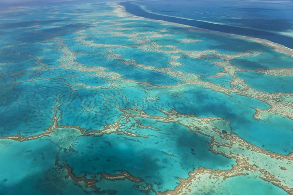 Stora barriärrevet, Queensland, Australien — Stockfoto