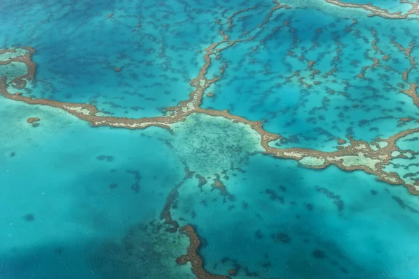Great Barrier Reef, Queensland, Australia — Stock Photo, Image