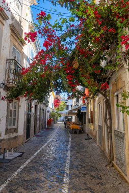 Tavira, Doğu Algave, Potugal 'da dar bir sokakta restoran ve bougainvillea çiçeği