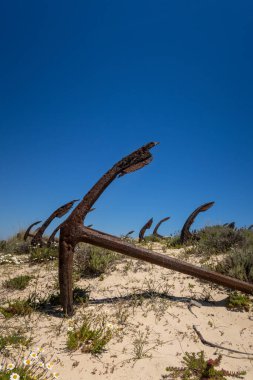 Praia do Barril sahilinde demirli mezarlığı olan Ilha de Tavira kumsalda paslanmış bir sürü çapası var. Eatern Algarve, Portekiz