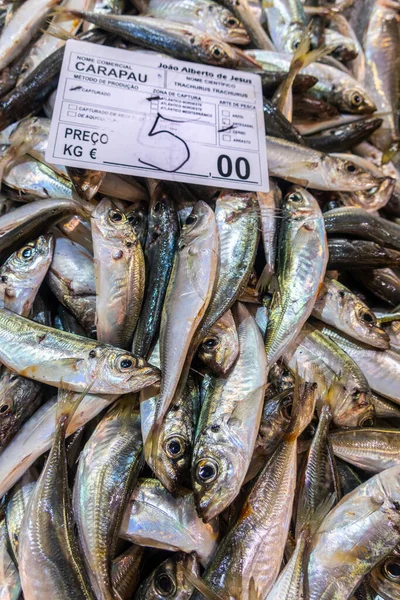 Balık Pazarında Taze Carapau Veya Uskumrusu Algarve Portekiz — Stok fotoğraf