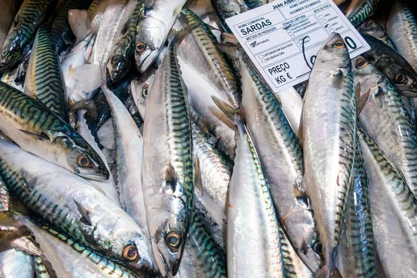 Varieties Fresh Fish Market Tavira Algarve Portugal — Stock Photo, Image