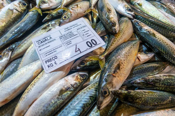 Sorter Färsk Fisk Marknaden Tavira Algarve Portugal — Stockfoto