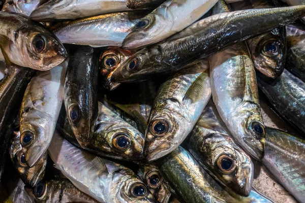 Tavira Algarve Portekiz Pazarda Taze Balık Çeşitleri — Stok fotoğraf