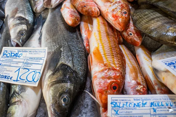 Sorter Färsk Fisk Marknaden Tavira Algarve Portugal — Stockfoto