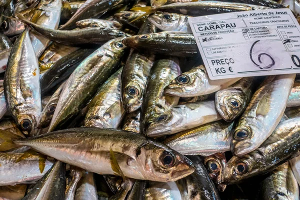 Sorter Färsk Fisk Marknaden Tavira Algarve Portugal — Stockfoto