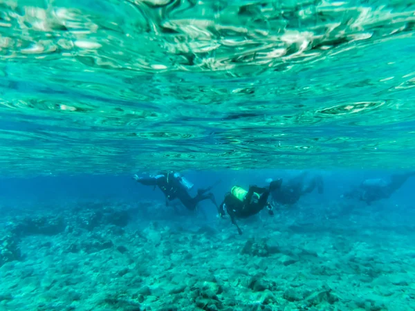 Divers deep under water near the shore